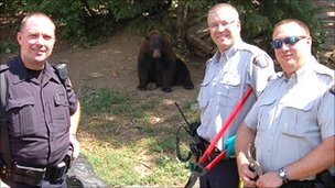 The Mounties pose with the Black Bears found guarding illegal pot farm...